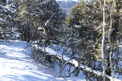 DSC_4985 (Large).JPG